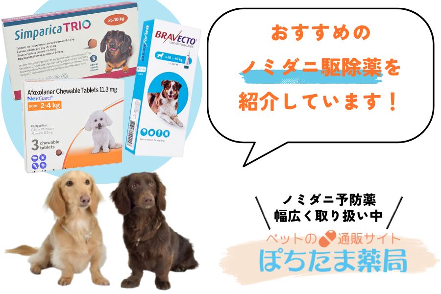 ノミダニ駆除薬と併用する