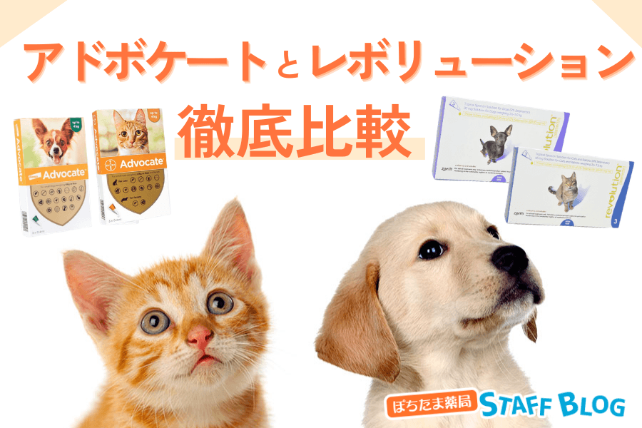 アドボケートとレボリューションの違いを徹底比較