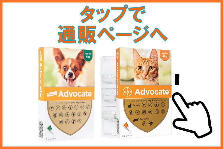 アドボケート