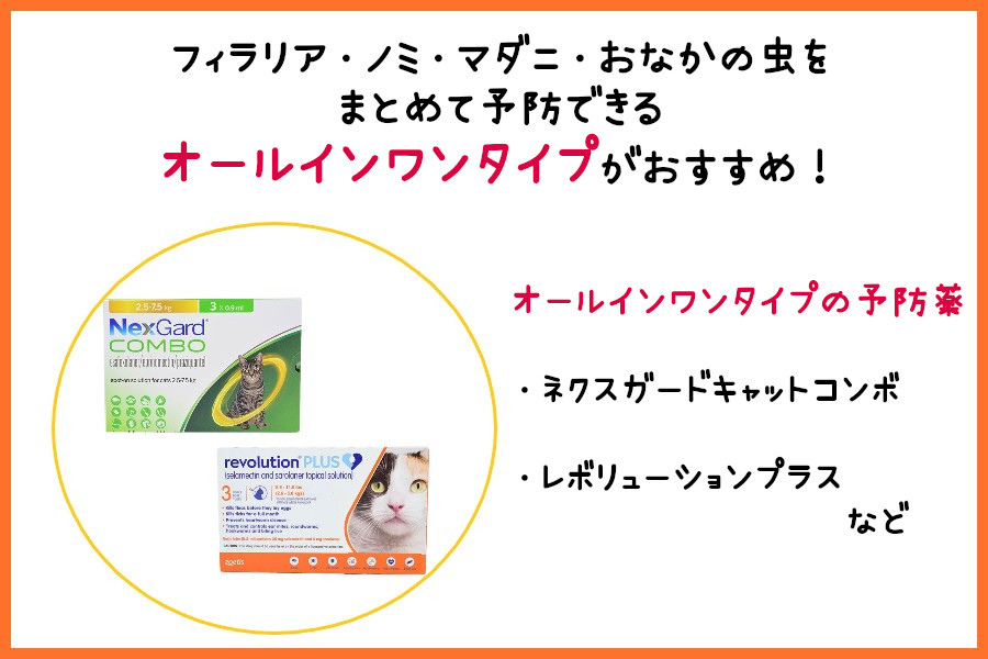 フィラリア予防薬とノミダニ薬を一緒に使用して大丈夫?