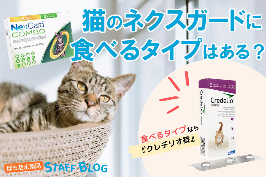 ネクスガードに猫用の食べるタイプはない？おやつ感覚で投与できるノミ・ダニ薬はコレ！