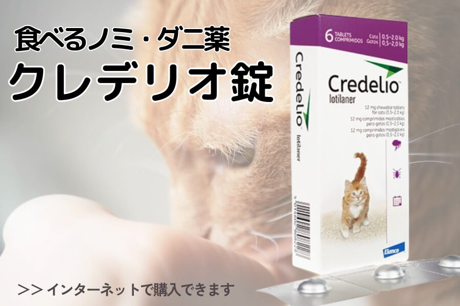 猫用の食べるノミ・ダニ薬「クレデリオ錠」