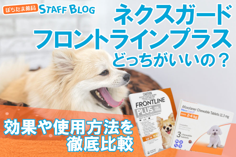 ネクスガードとフロントラインプラス、どっちがいい？特長や価格の違いを徹底比較