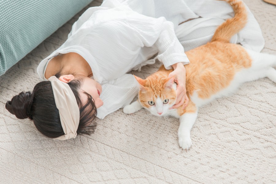 猫の耳ダニはどのように人にうつる?