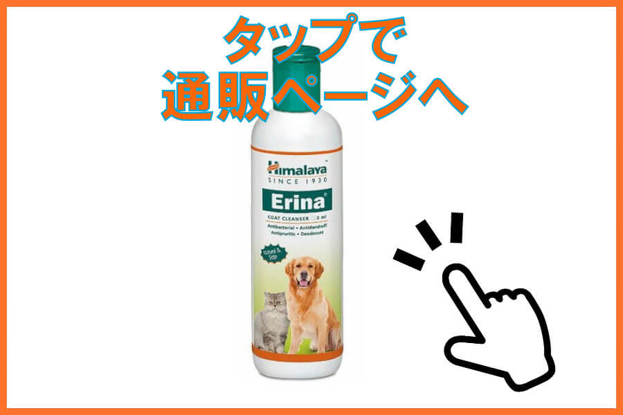 エリナ