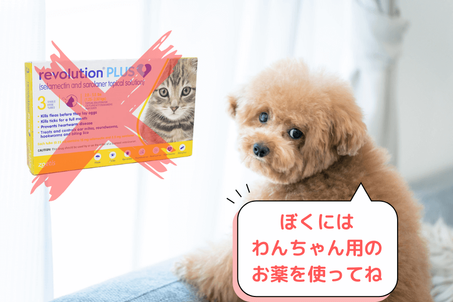 レボリューションプラスを犬に使ってはいけない理由