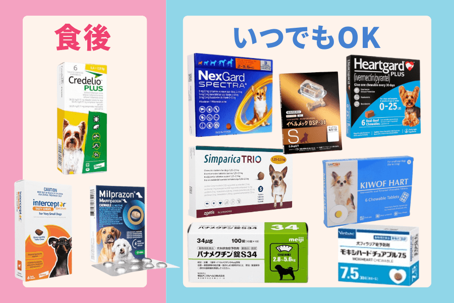 食前?食後?フィラリア予防薬の飲ませ方