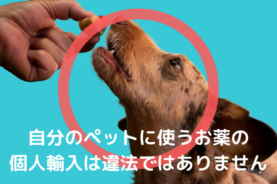 そもそも個人輸入とは？違法なのでは？