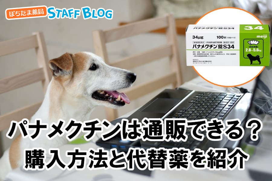 パナメクチンは通販できる？購入方法と代替薬を紹介
