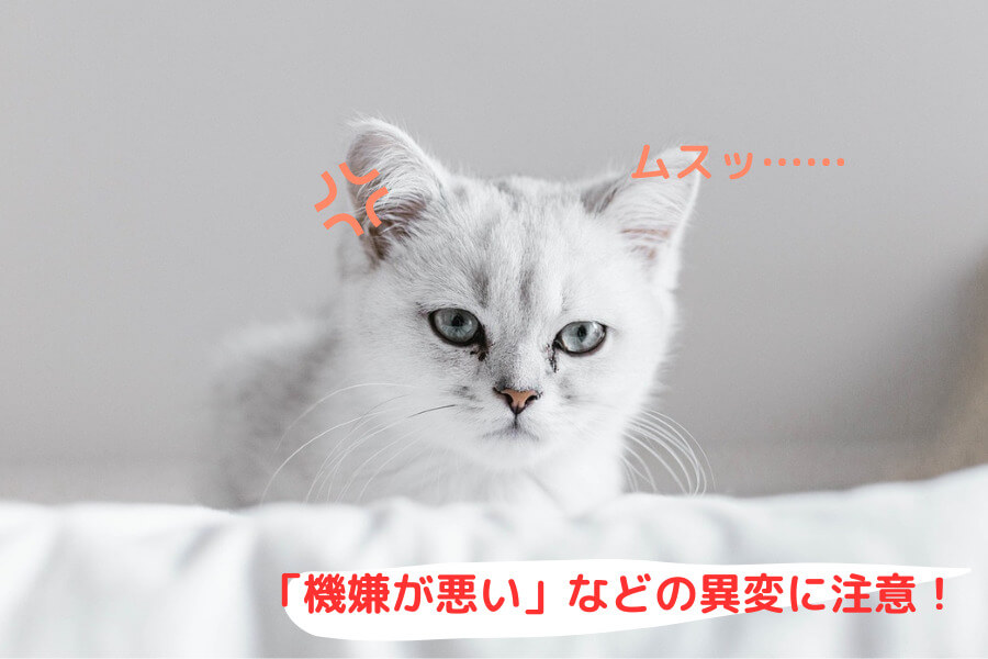 行動に異変がないか確認する