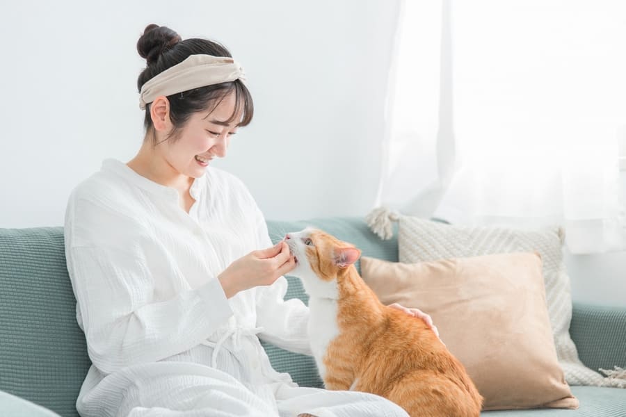 ノミ駆除薬を毎月投与する