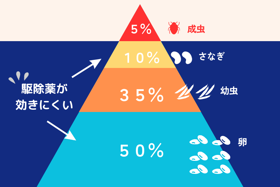 ノミの卵やさなぎが残っていた