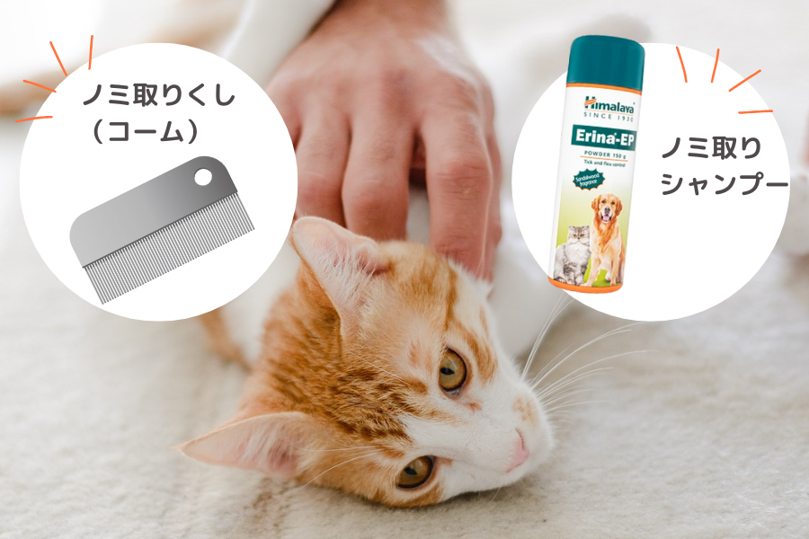 一般的に知られる猫のノミの取り方は?