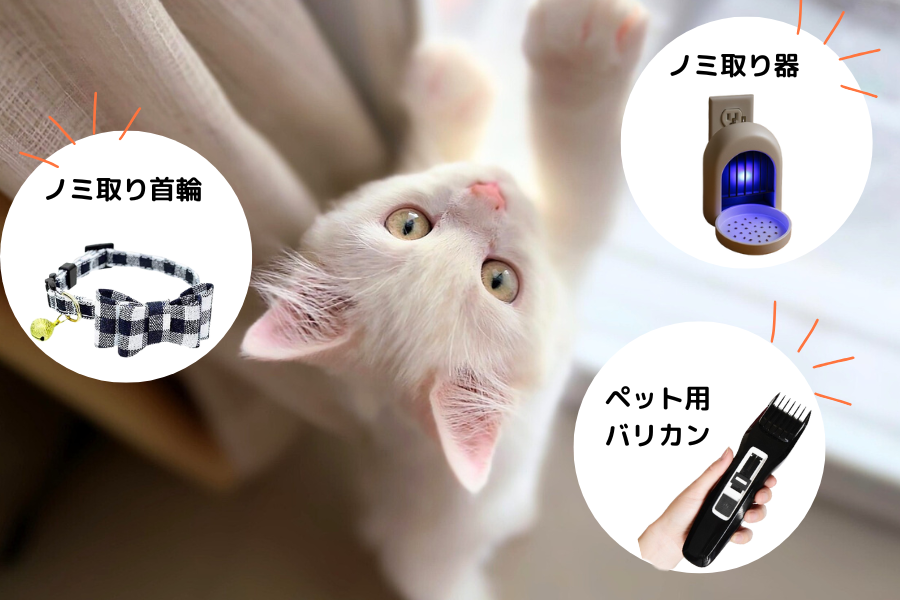 猫のノミ取りグッズは効果的?