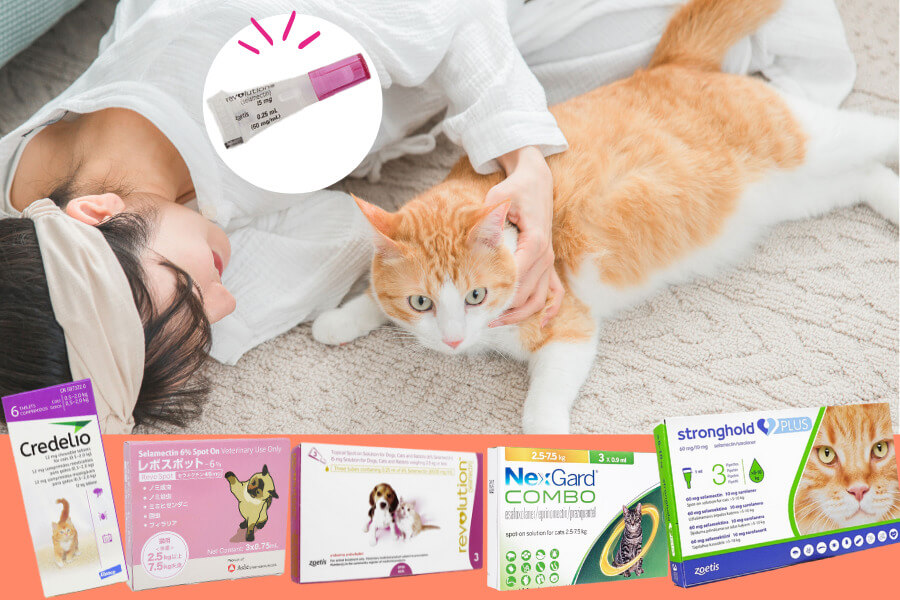 猫のノミ駆除薬で定期駆除