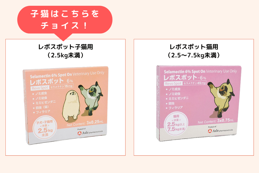 使用する薬は成猫用と同じ?