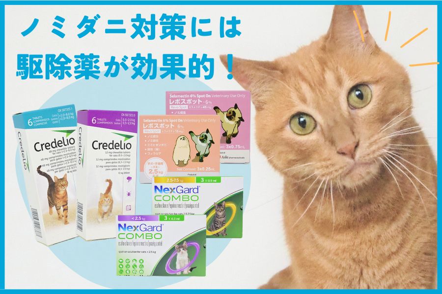 ノミダニ駆除薬と併用する<