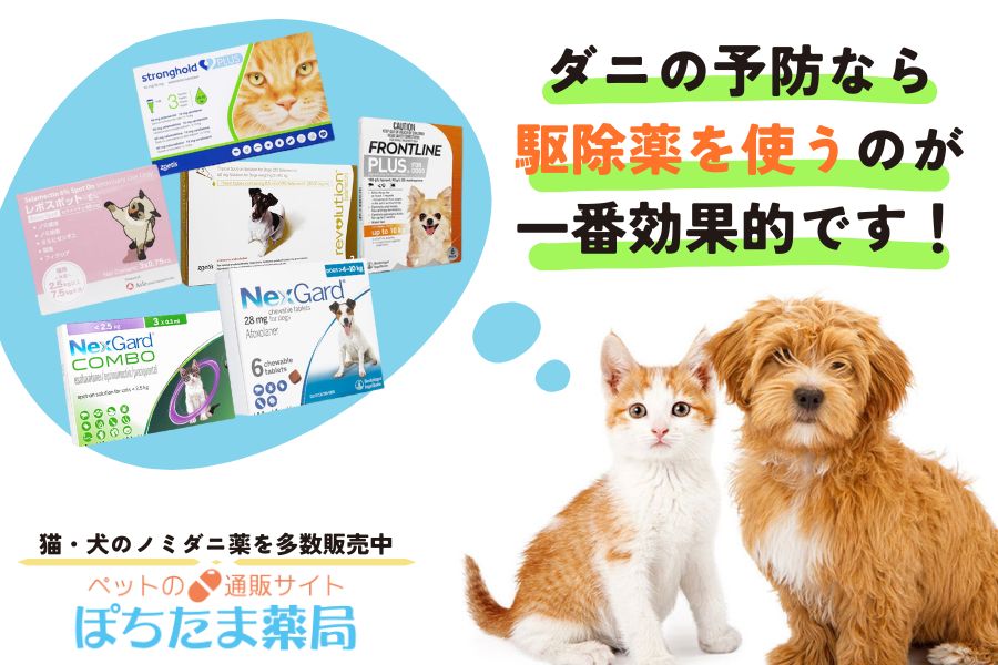 ペットのケア