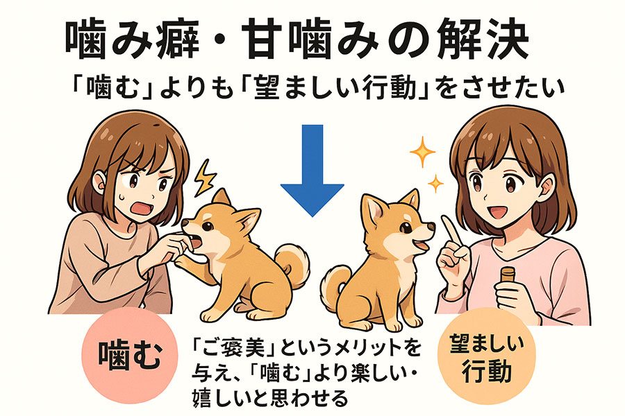 噛み癖・甘噛みの解決方法