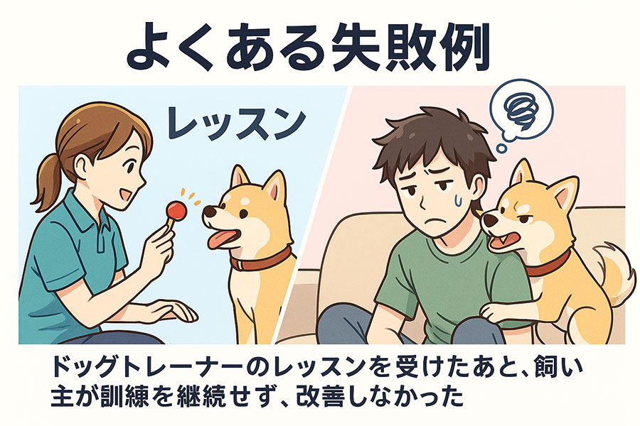 しつけのよくある失敗例