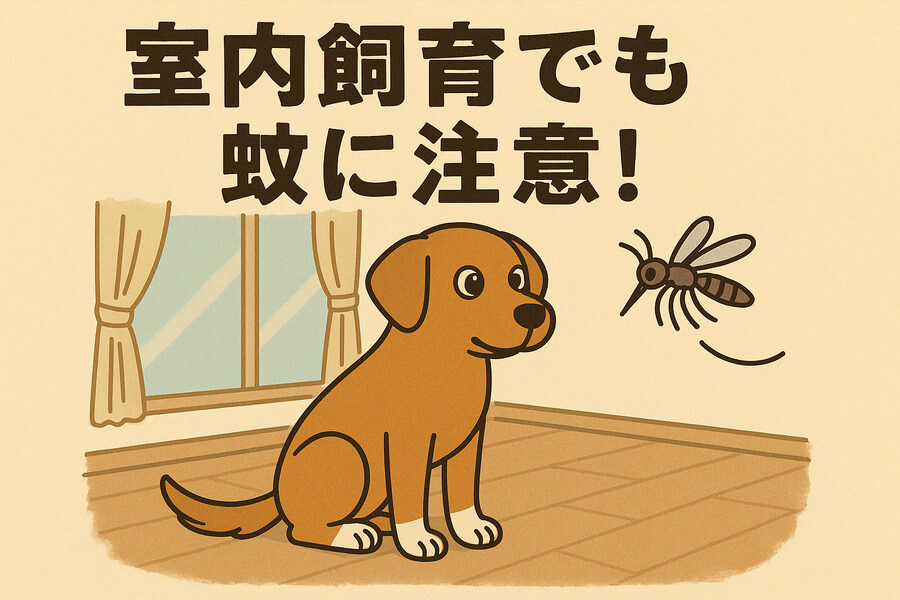 室内飼育でも蚊への対策は必須です