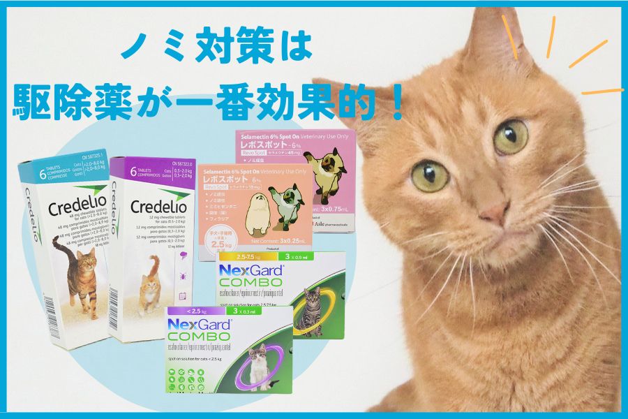 猫への対策