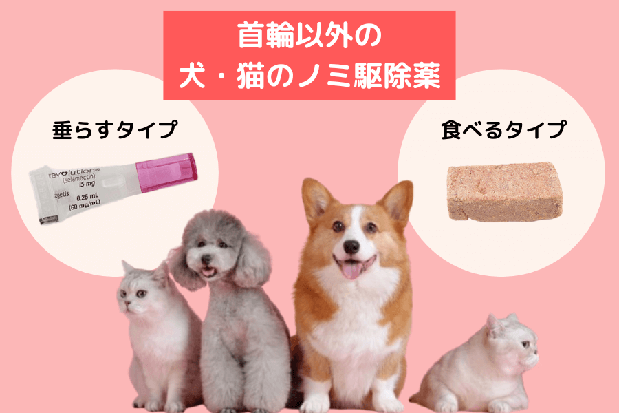 安全なノミ対策をするなら別のお薬も検討しよう