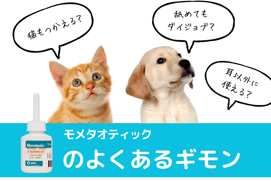 モメタオティックに関するよくある疑問