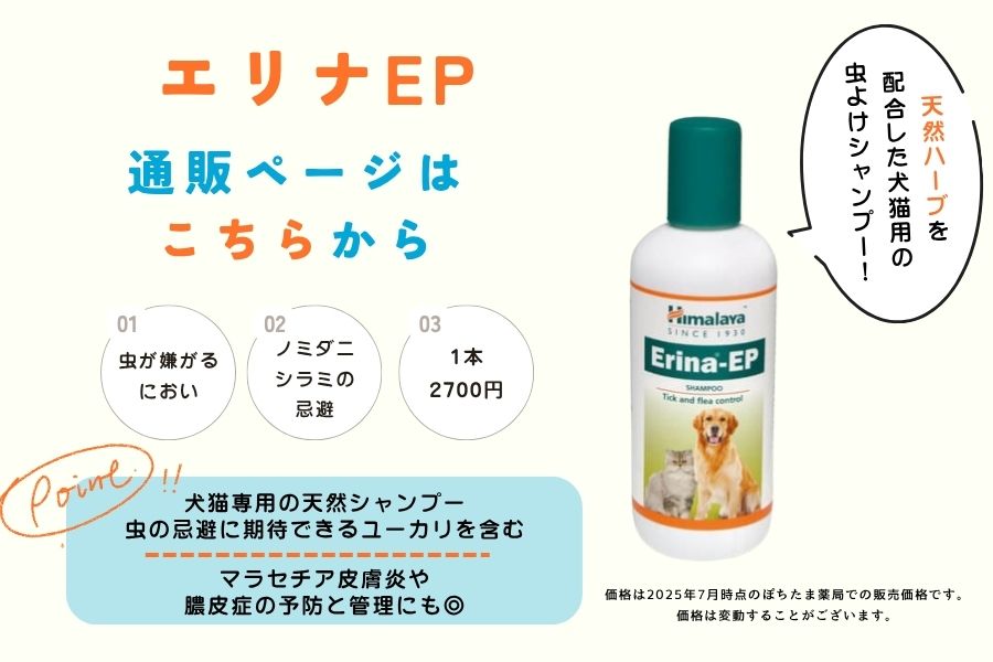 エリナEP詳細