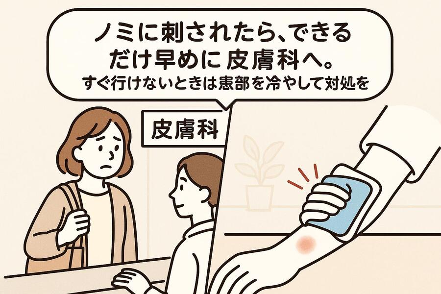 猫のノミは人間にうつる？