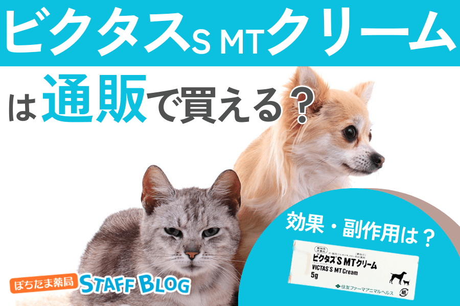 ビクタスＳ ＭＴ クリームは通販で買える？効果や副作用、使い方を紹介