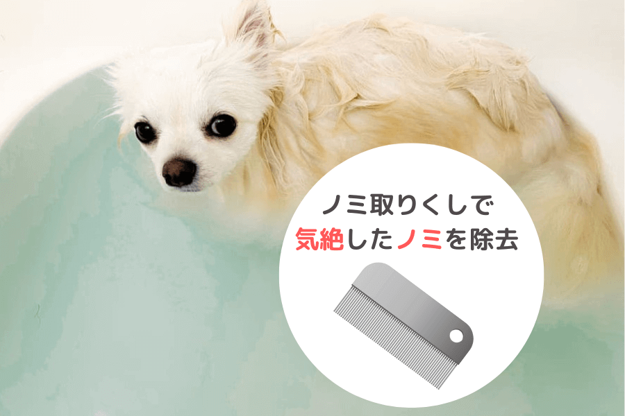 ノミ取りくしで取り除く