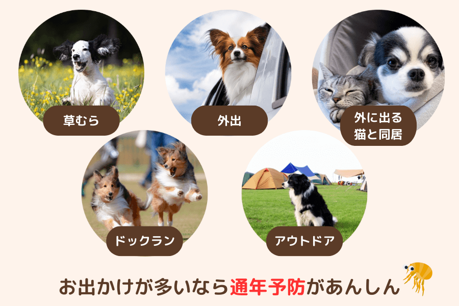 通年予防が推奨されるワンちゃんは?