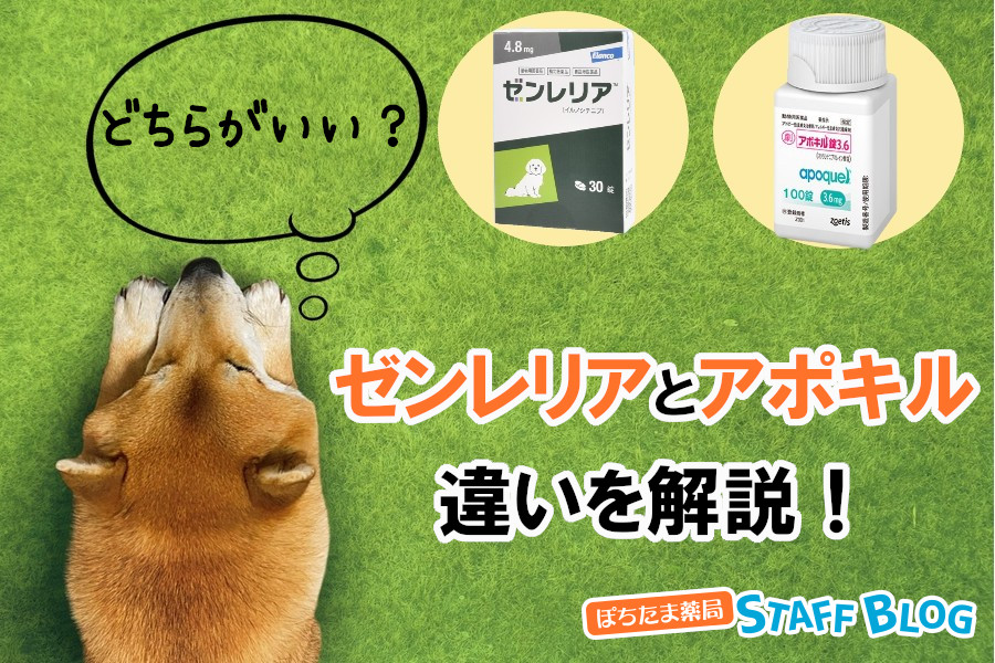 ゼンレリアとアポキルの違いを解説！どちらがいい？