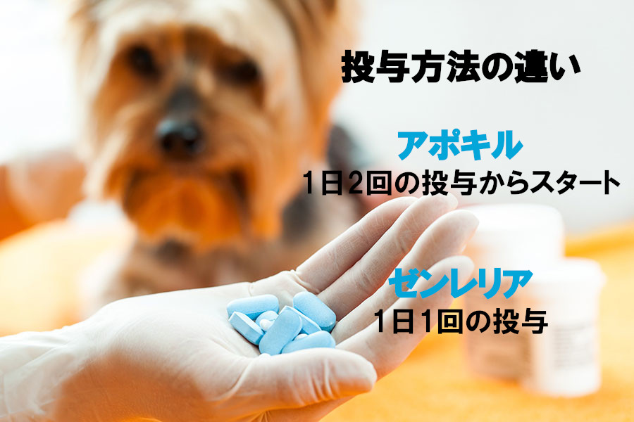投与方法と使いやすさの違い