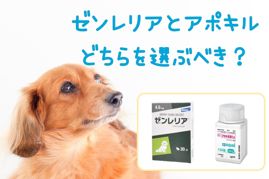 ゼンレリアとアポキル、どちらを選ぶべき?