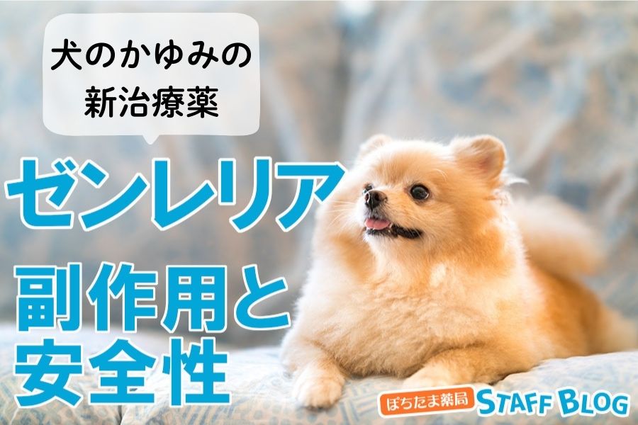 犬のかゆみ治療の新薬ゼンレリア!副作用と安全性について解説