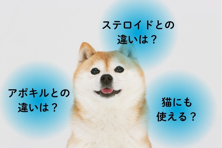 ゼンレリアに関するよくある質問