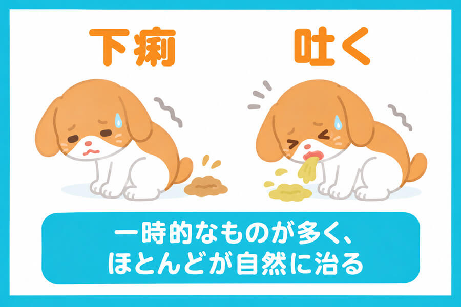 ゼンレリアの副作用は下痢・嘔吐