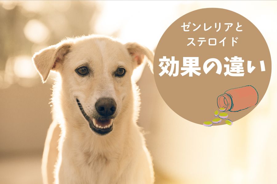 効果の違い