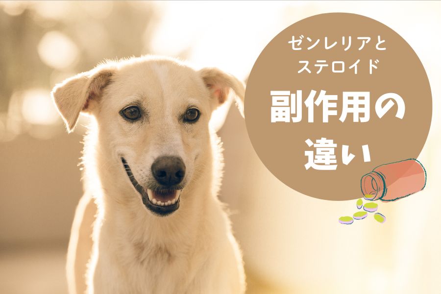 副作用の違い