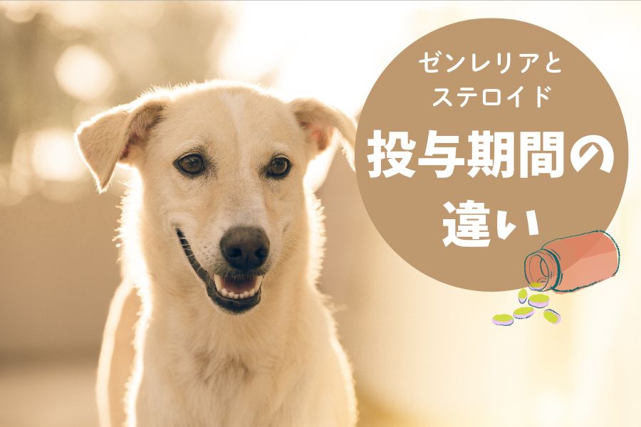 投与期間の違い