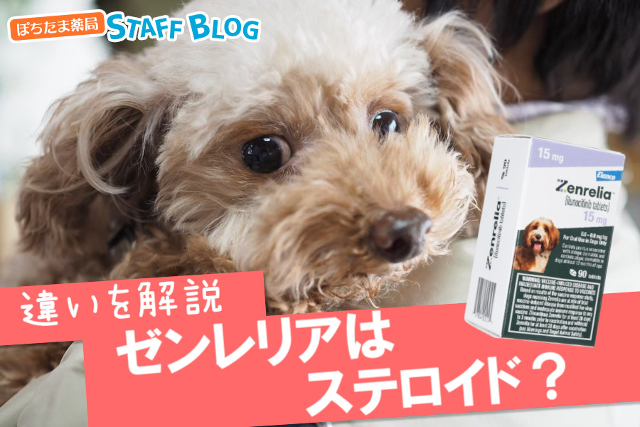 ゼンレリアはステロイド？効果や投与期間の違いを解説