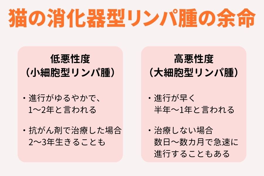 猫の消化器型リンパ腫の余命
