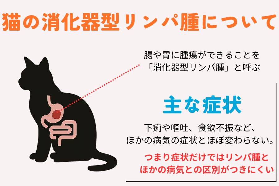 猫の消化器型リンパ腫の主な症状