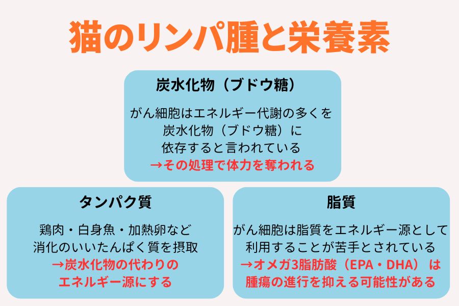 食事のサポート