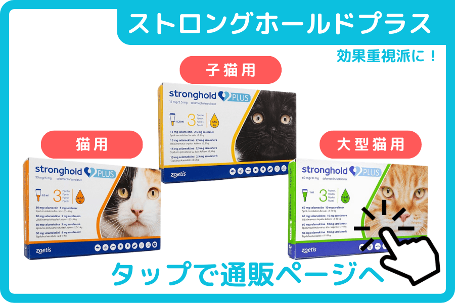 ストロングホールドプラス
