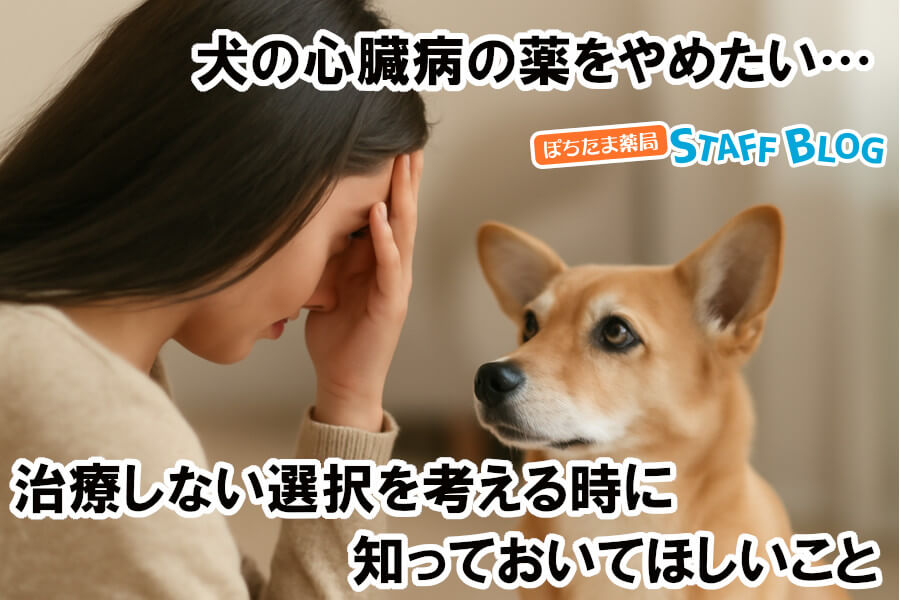 犬の心臓病の薬をやめたい…治療しない選択を考える時に知っておいてほしいこと