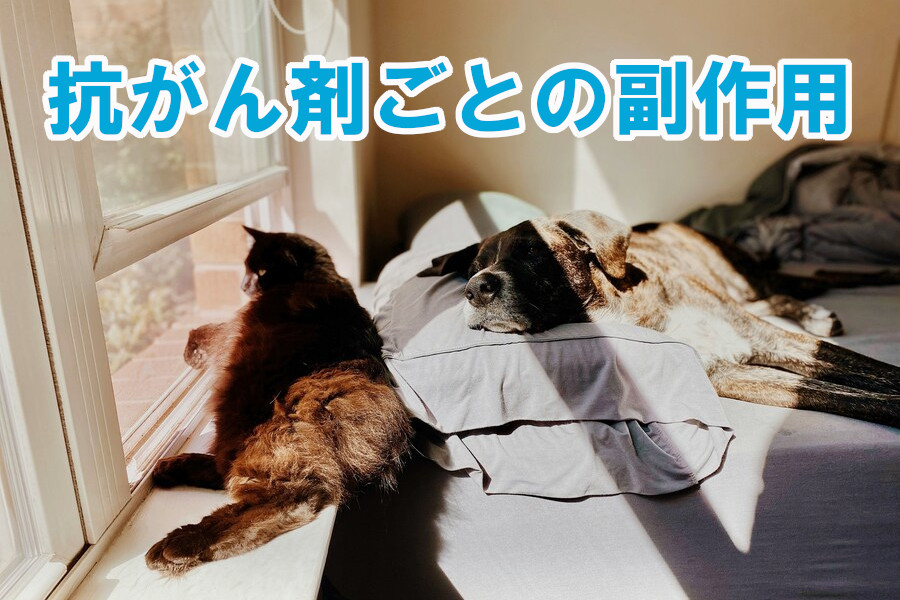 主な抗がん剤ごとの副作用一覧