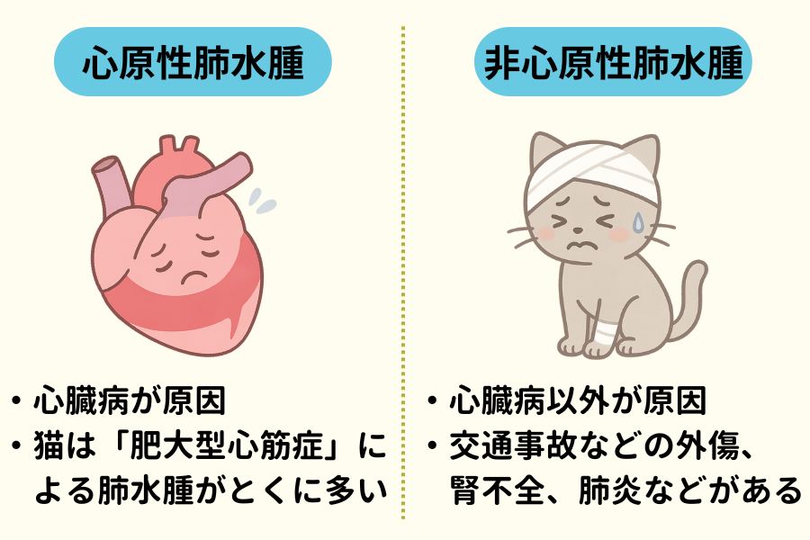 猫の肺水腫の原因